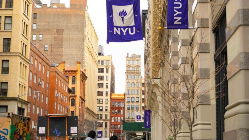 Board of Trustees Continues Investigation into Steinhardt, Does Not Specify a Timeframe