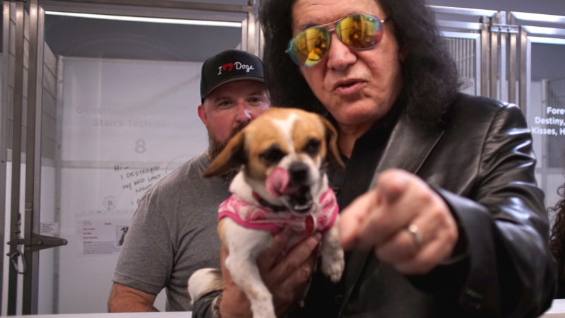 KISS Front man Gene Simmons’ surprise visit to a dog shelter to advocate dog rescue