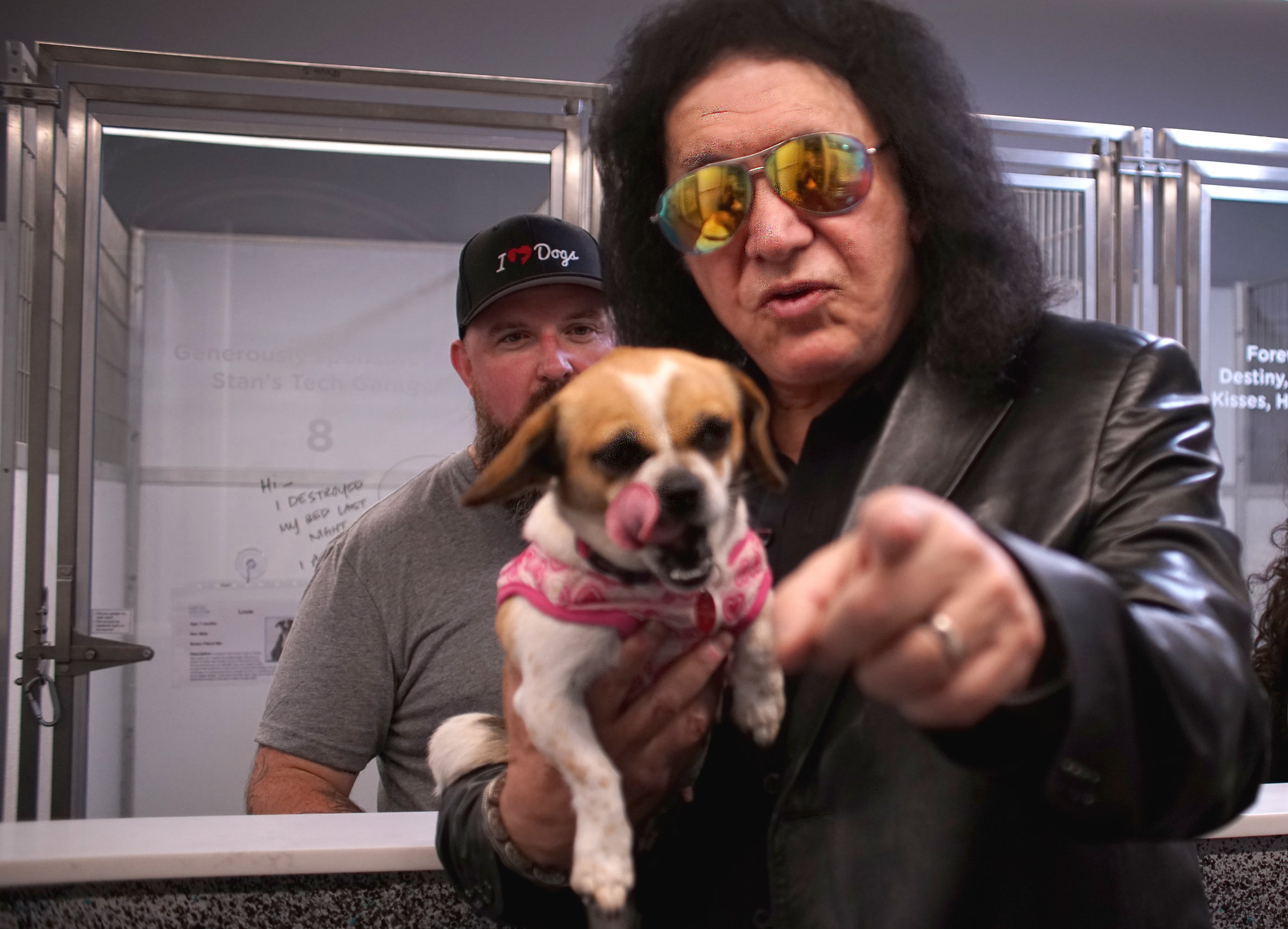 KISS Front man Gene Simmons’ surprise visit to a dog shelter to advocate dog rescue