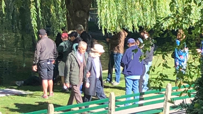 Diane Keaton, Jeremy Irons filmed scenes in the Boston Public Garden for a new rom-com